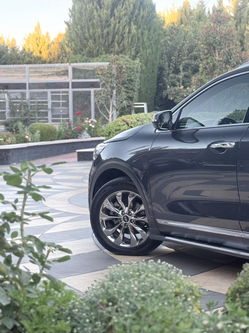 
								2019 Kia Sorento full									